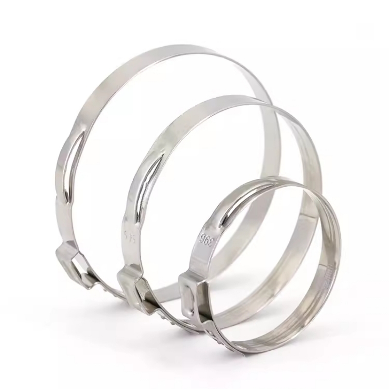 مشبك خرطوم واحد من الفولاذ الم - مراجعة Hose Clamp Assorted وسعره
